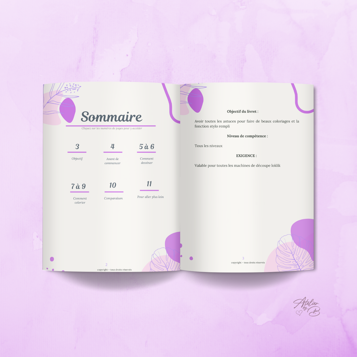 16- Colorier et Dessiner avec la LOKLIK