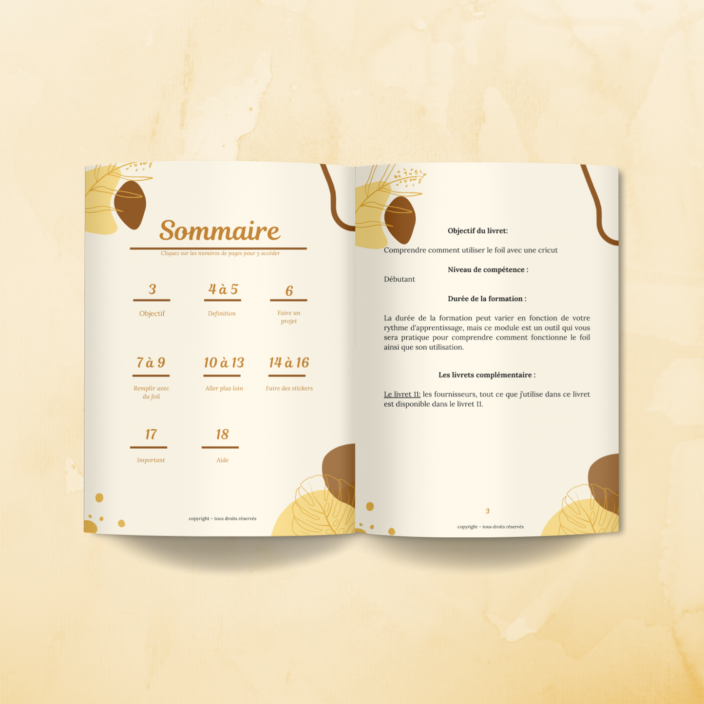 23- Le Foil avec Cricut