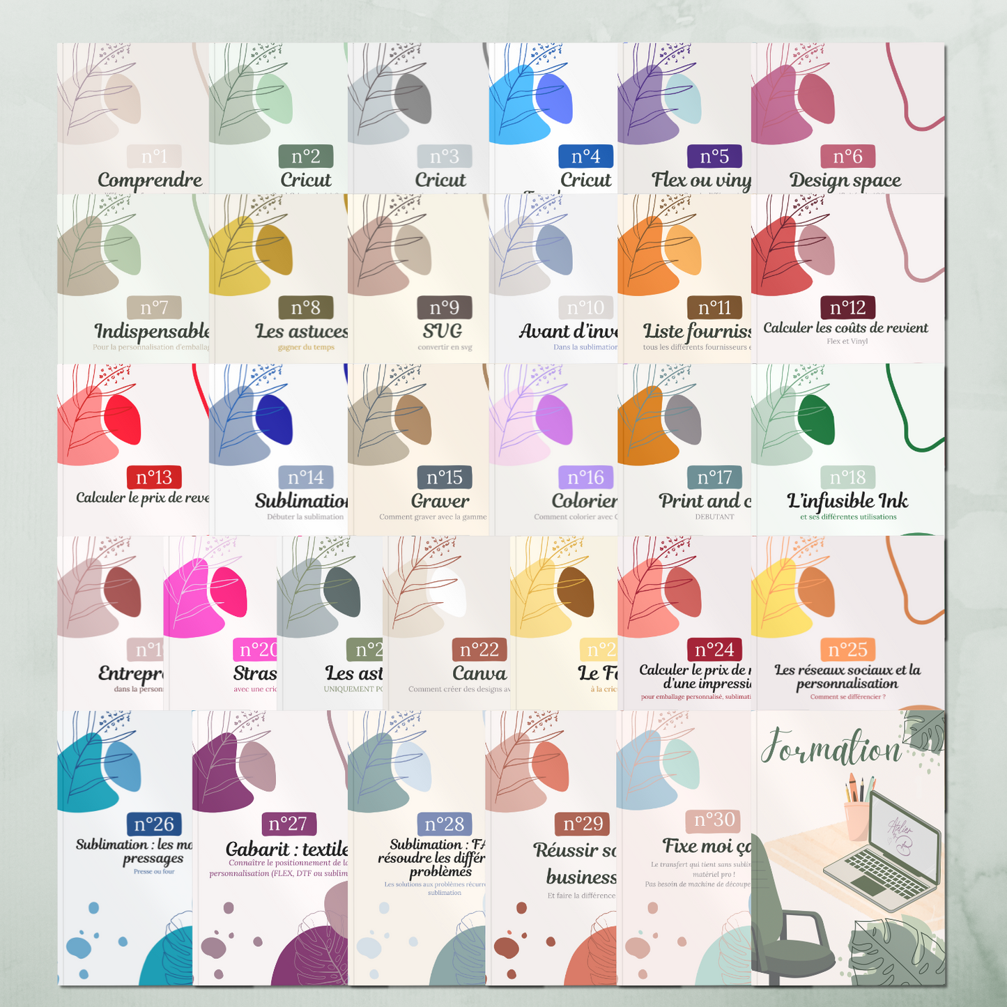 TOUS LES LIVRETS + FORMATION INDIVIDUELLE 1 MOIS